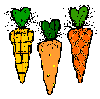 carrots.gif (1427 bytes)
