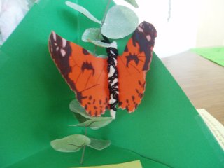 orange craft butterfly