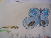 child's butterfly drawing