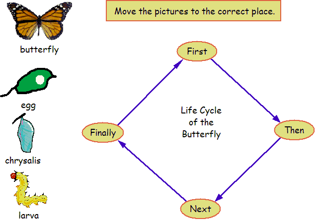 Kidspiration Life Cycle Diagram