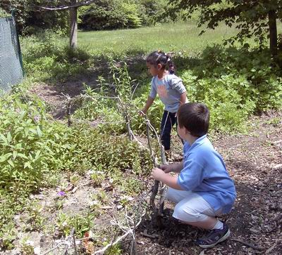 children building stick fence