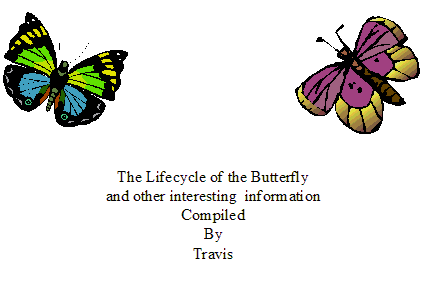 two butterflies