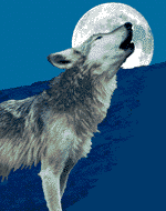 anwolf.gif (27058 bytes)