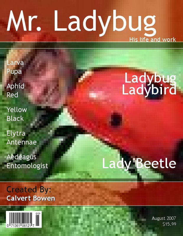 Mr. Ladybug Cover