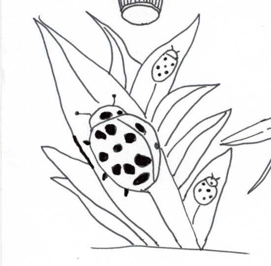 ladybug black and white picture