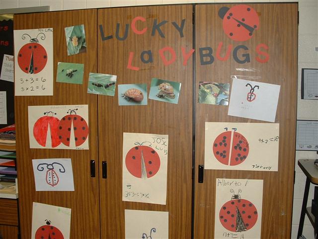 classroom ladybug display