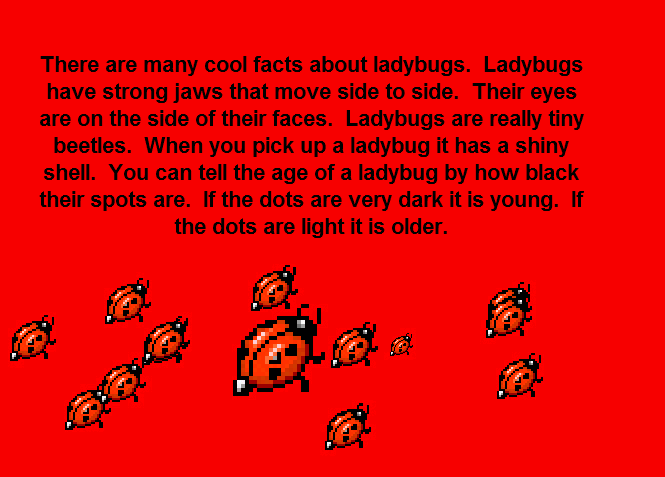 ladybug info in Kid Pix