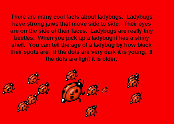 Ladybugs Facts & Information