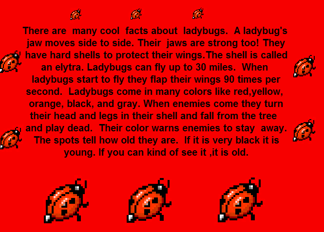 ladybug info in kid pix