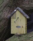 Hibernating Ladybird Box