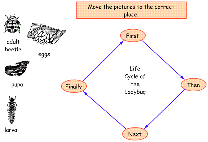 kidspiration diagram