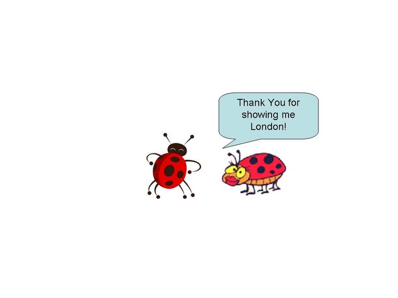 ladybug thanks