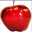 picture of apple