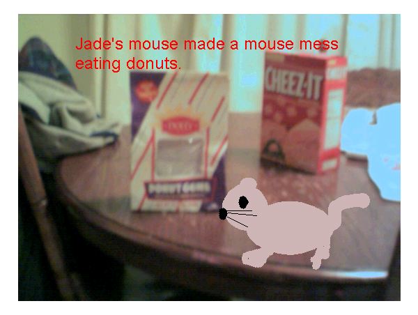 mouse on a table with donuts