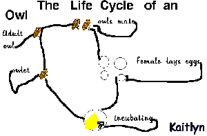 cycle2.gif (3513 bytes)