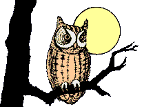 owl3.gif (9795 bytes)