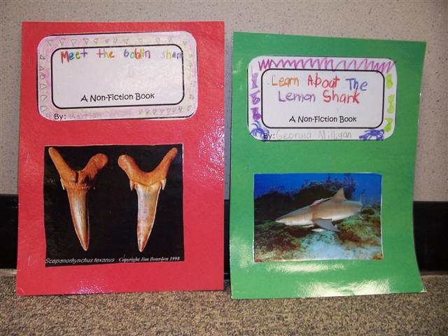 Photograph of Shark Book Covers